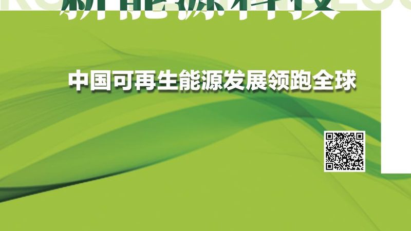 政府新能源招标，厂家资质要求解析